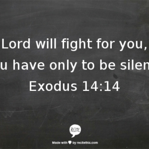 God will fight for you