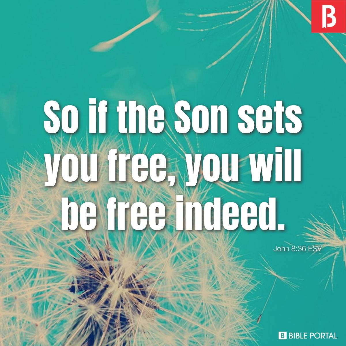 god-promises-freedom-from-sin-john-8-36