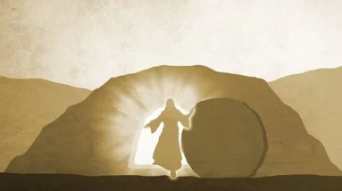 Jesus is Raised from the Dead - John 20 9 jesus 4779543 340