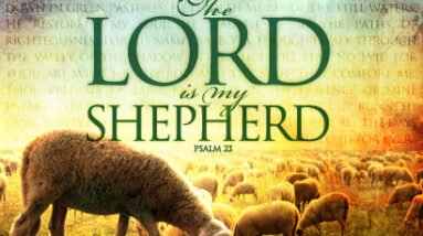 The Lord Is Your Shepherd - Psalm 23 23 oOXzo2U