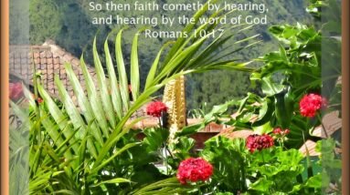 So Faith Comes From Hearing And Hearing Through The Word of Christ - Romans 10:17 14 5238198640 7d7d1b0b65 b