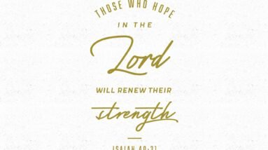 Those Who Hope in the Lord Will Renew Their Strength - Isaiah 40:31 2 TB1DOnl