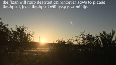 A Man Reaps What He Sows - Galatians 6:7-8 2 Uwsf5j6