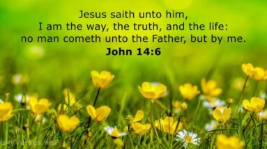 No One Comes to the Father Except Through Me - John 14:6 26 iCexQts