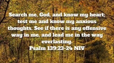 Search Me O God and Know My Heart - Psalm 139:23-24 5 oaI2xlY