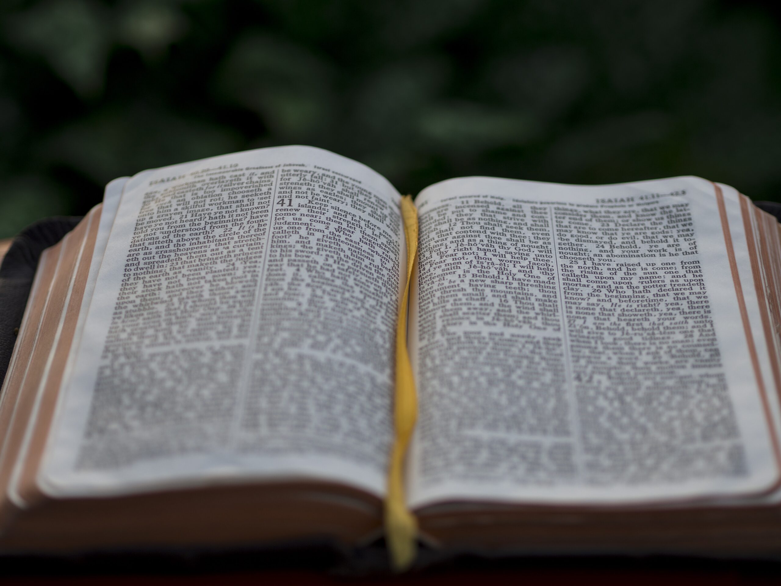 Nurturing Spiritual Growth through the Bible