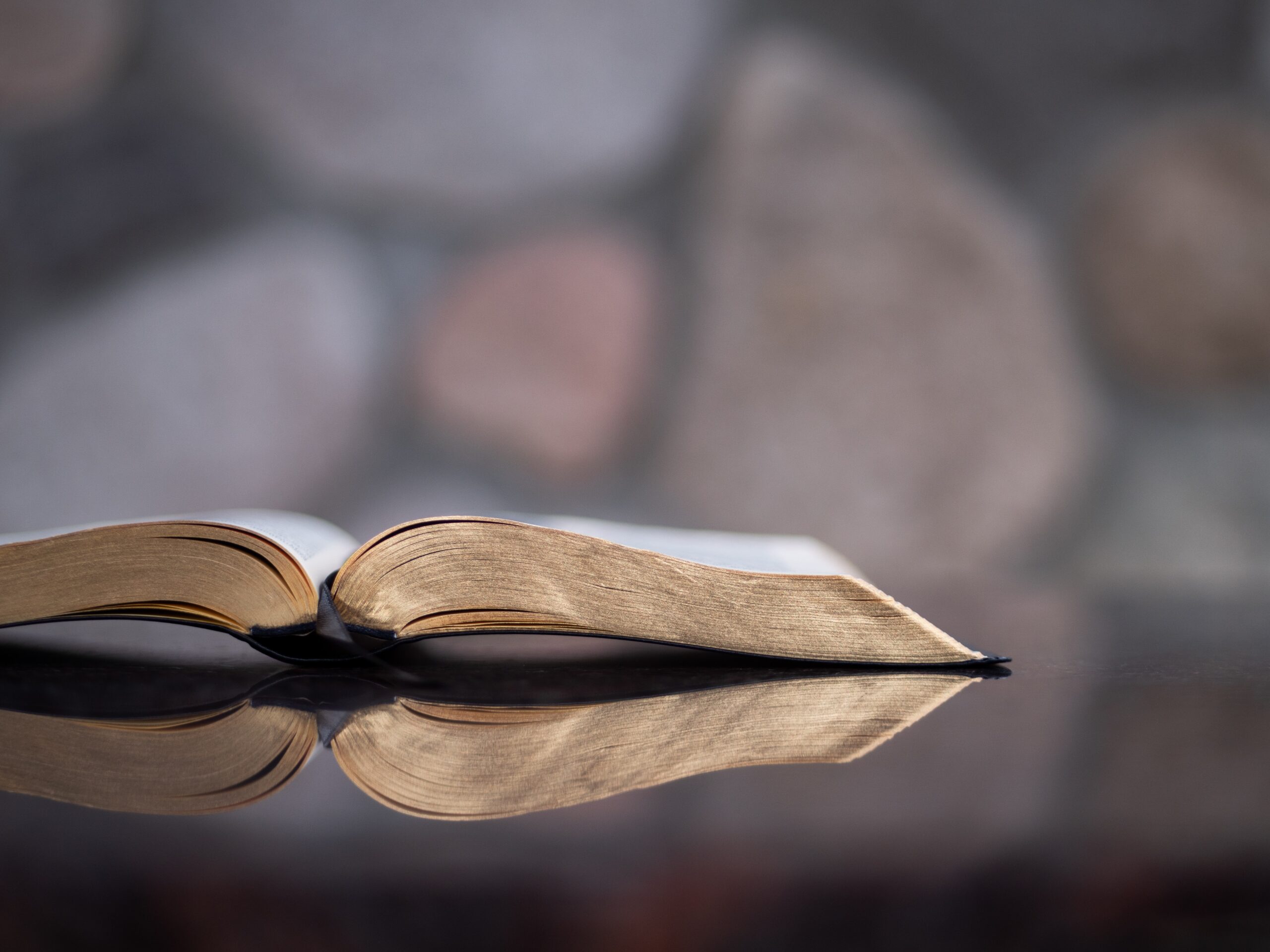Nurturing Spiritual Growth through the Bible
