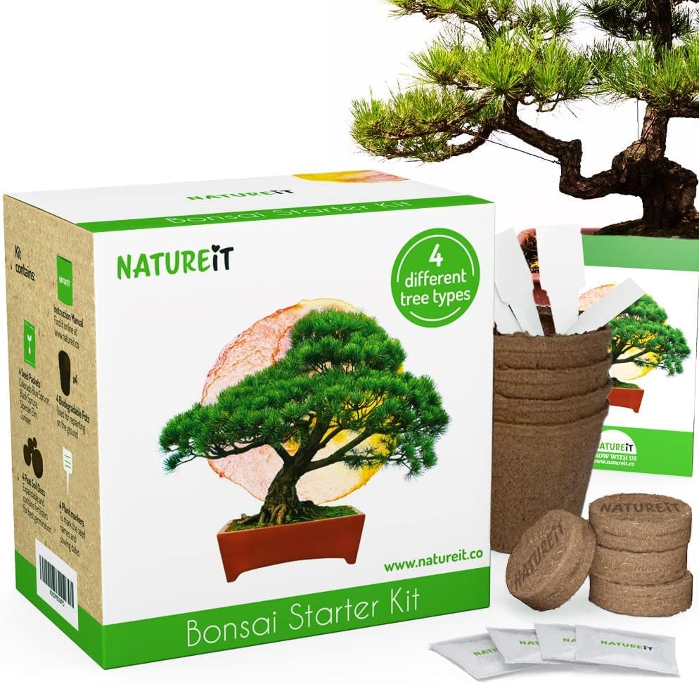 Bonsai Tree Seed Starter Kit - All You Need to Grow 4 Bonsai Trees from Seeds. All-in-One Indoor/Outdoor DIY Beginner Grow kit for Men  Women. Best Gift Idea for Mom and Dad who Have Everything