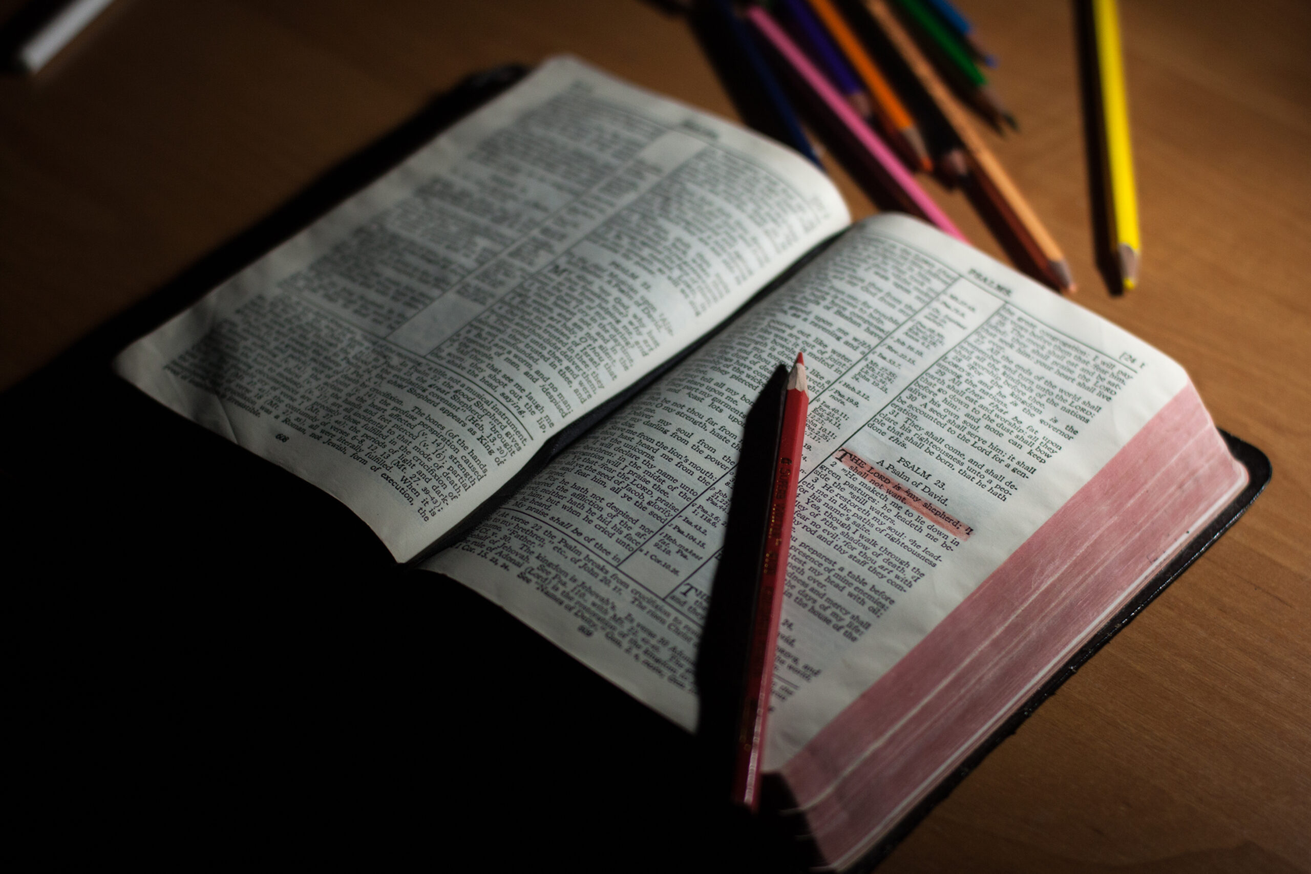 Exploring the Wisdom of the Bible