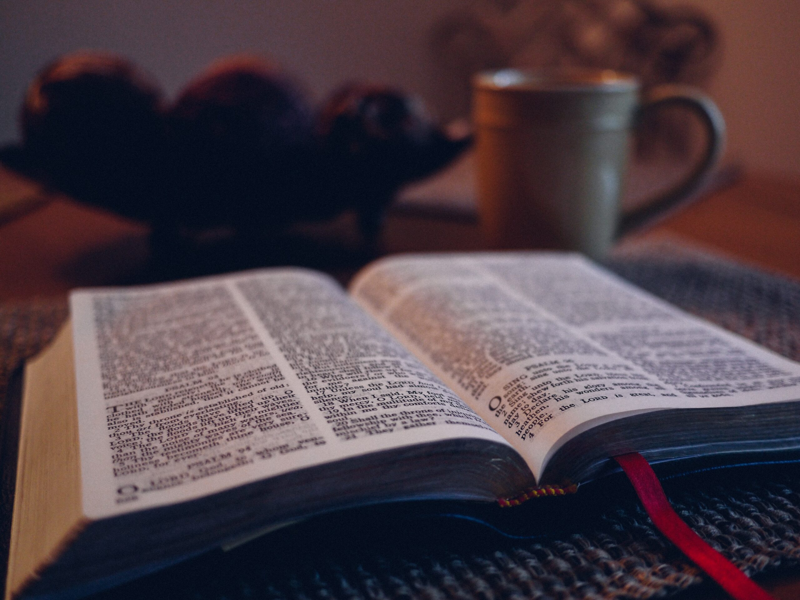 Finding Forgiveness in Bible Study