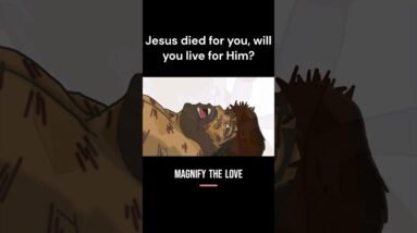 Because He Loves You So #jesus #shorts #new #jesuslovesyou #viral #trending #fyp #king
