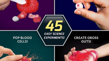 national geographic gross science lab review