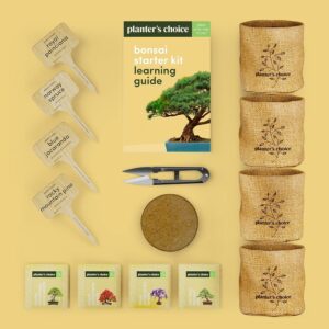 new bonsai starter kit review