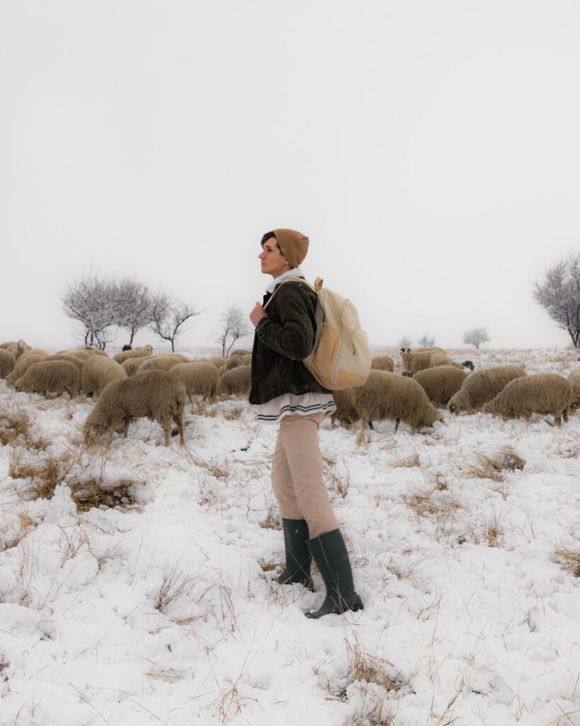 the-lost-sheep-finding-meaning-in-the-parable-of-the-shepherd-luke-15