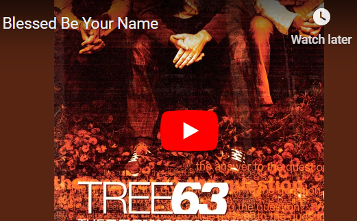 tree63