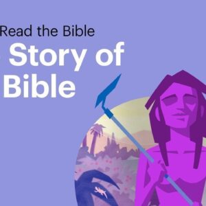 the story of the bible a journey from chaos to redemption 8