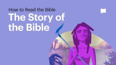 the story of the bible a journey from chaos to redemption 8