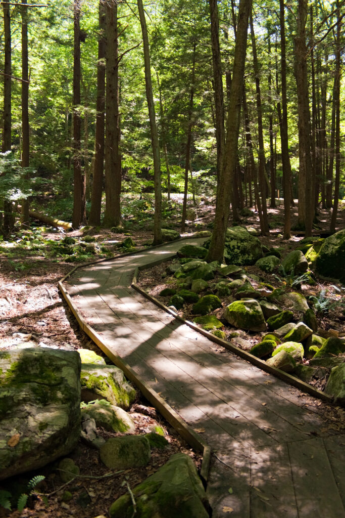 a community walking path that goes through the woods in kettletown state park southbury connecticut united states BtgawYASs