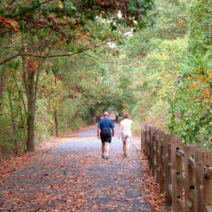 a community walking path that goes through the woods in farmington ct shot during the fall season in new england BKdS2PAHi