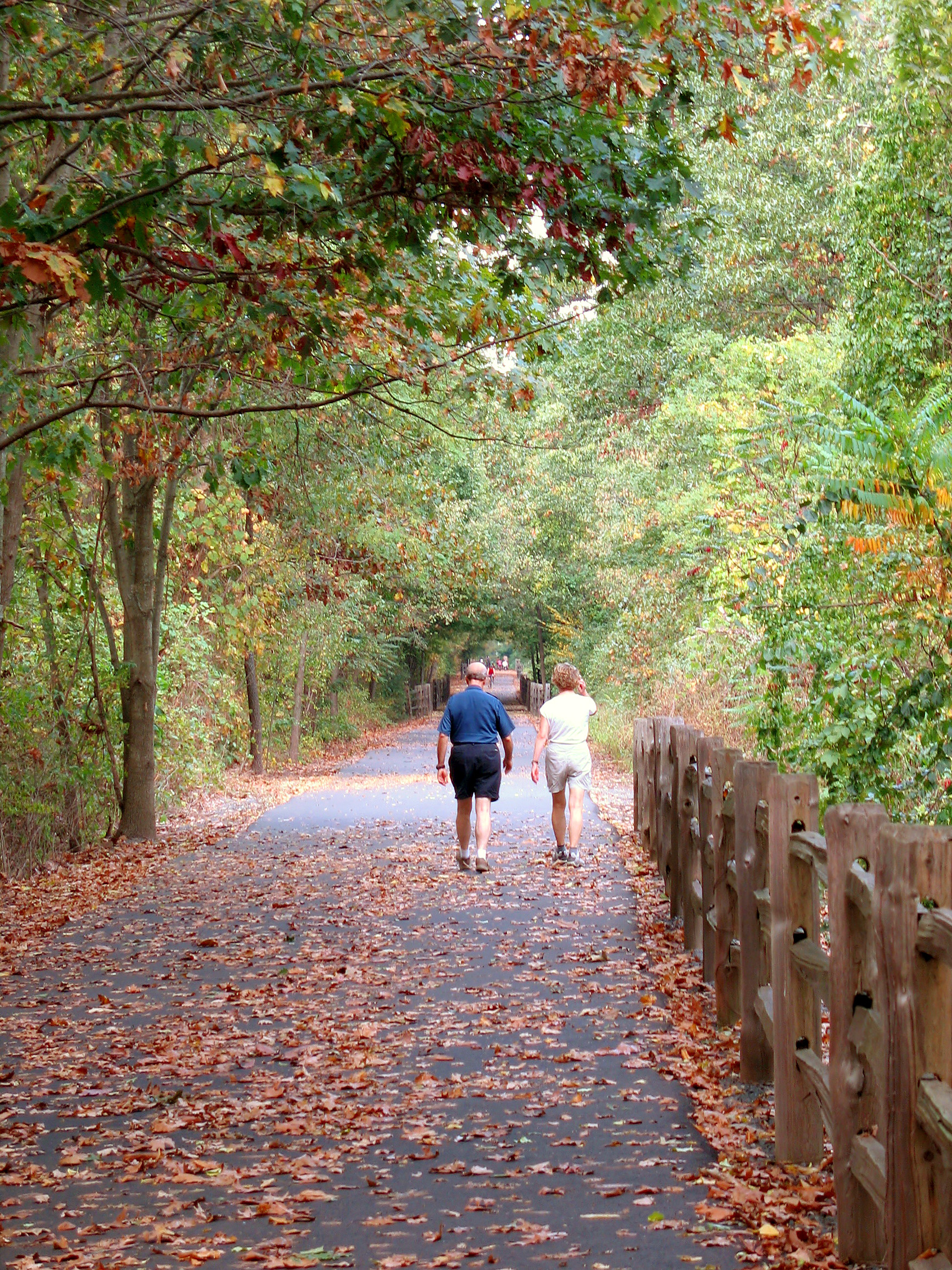 a community walking path that goes through the woods in farmington ct shot during the fall season in new england BKdS2PAHi