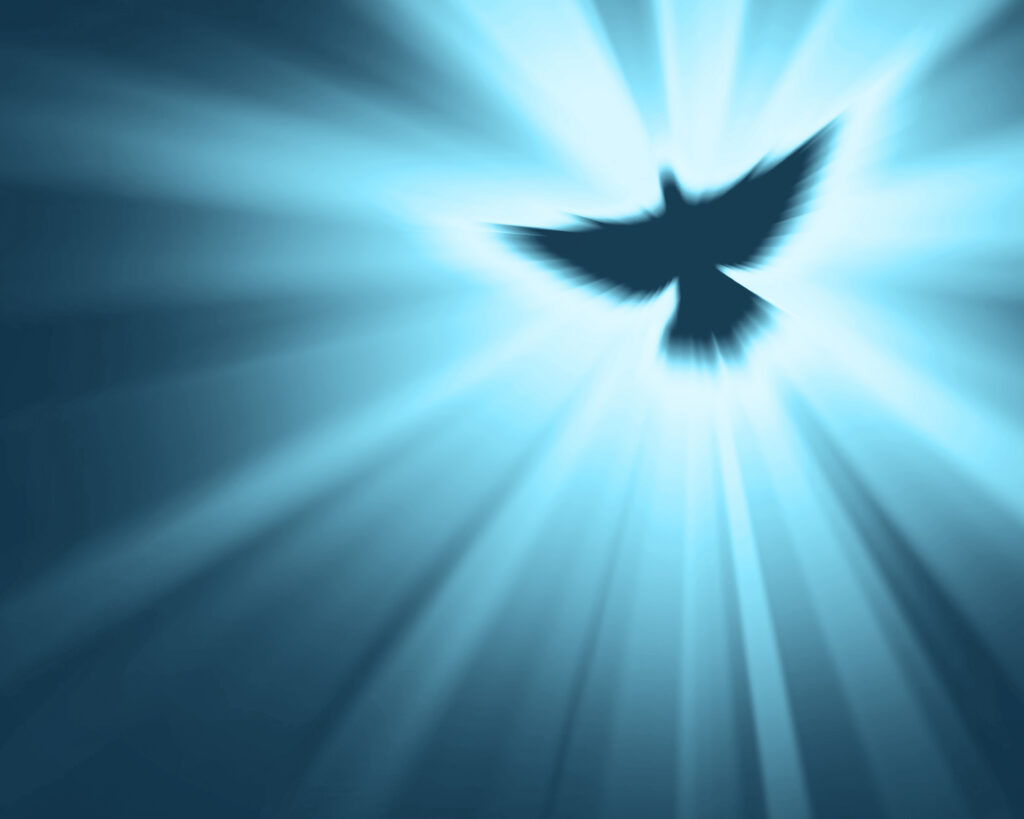 christian dove with bright sun rays SmpIb1zxR