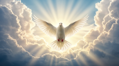 image fx 12 6