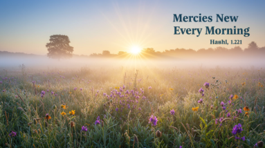 Mercies New Every Morning 34 image fx 13 4