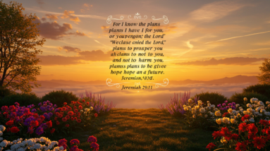 image fx 3 16
