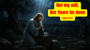 Jesus' Prayer in Gethsemane: “Not my will, but Yours be done.” – Luke 22:42 17 NOT MY WILL BUT YOURS BE DONE