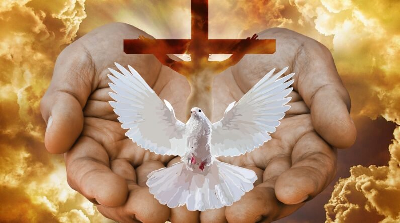 dove 5450109 1280