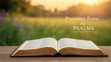 10 Life-Giving Promises Found In The Psalms 31 Image fx 10