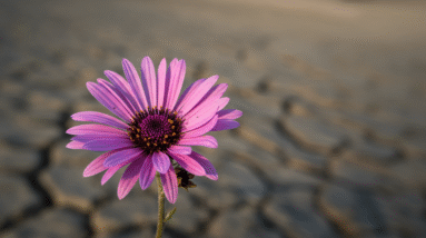 From Pain to Purpose — Strengthening Faith Through Suffering 2 Image fx 12 13