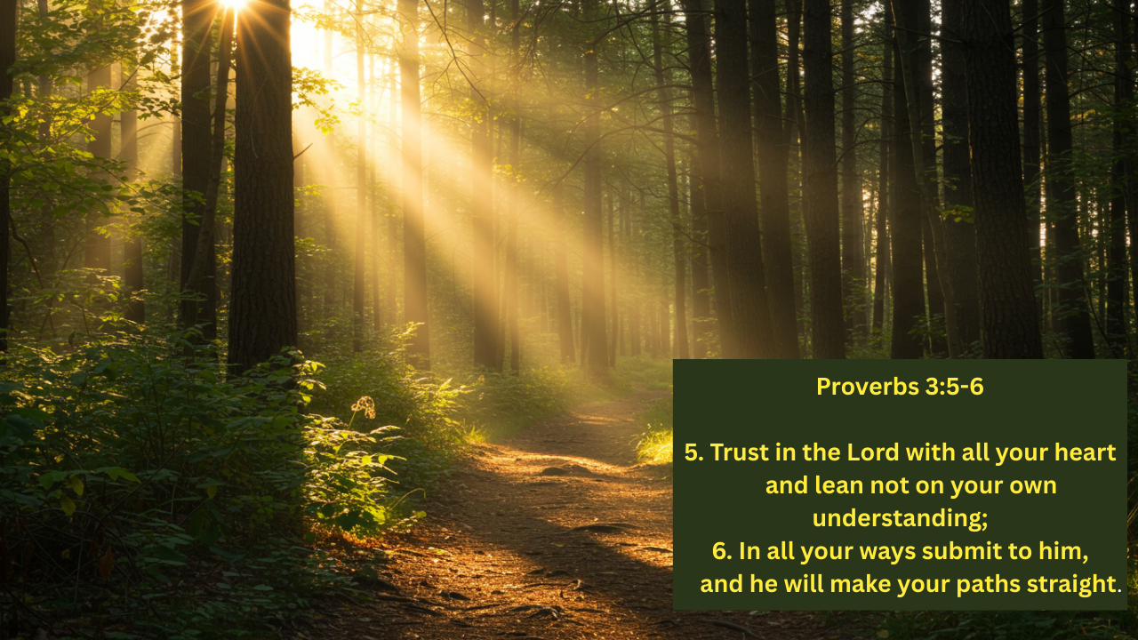 Proverbs 3:5 explained