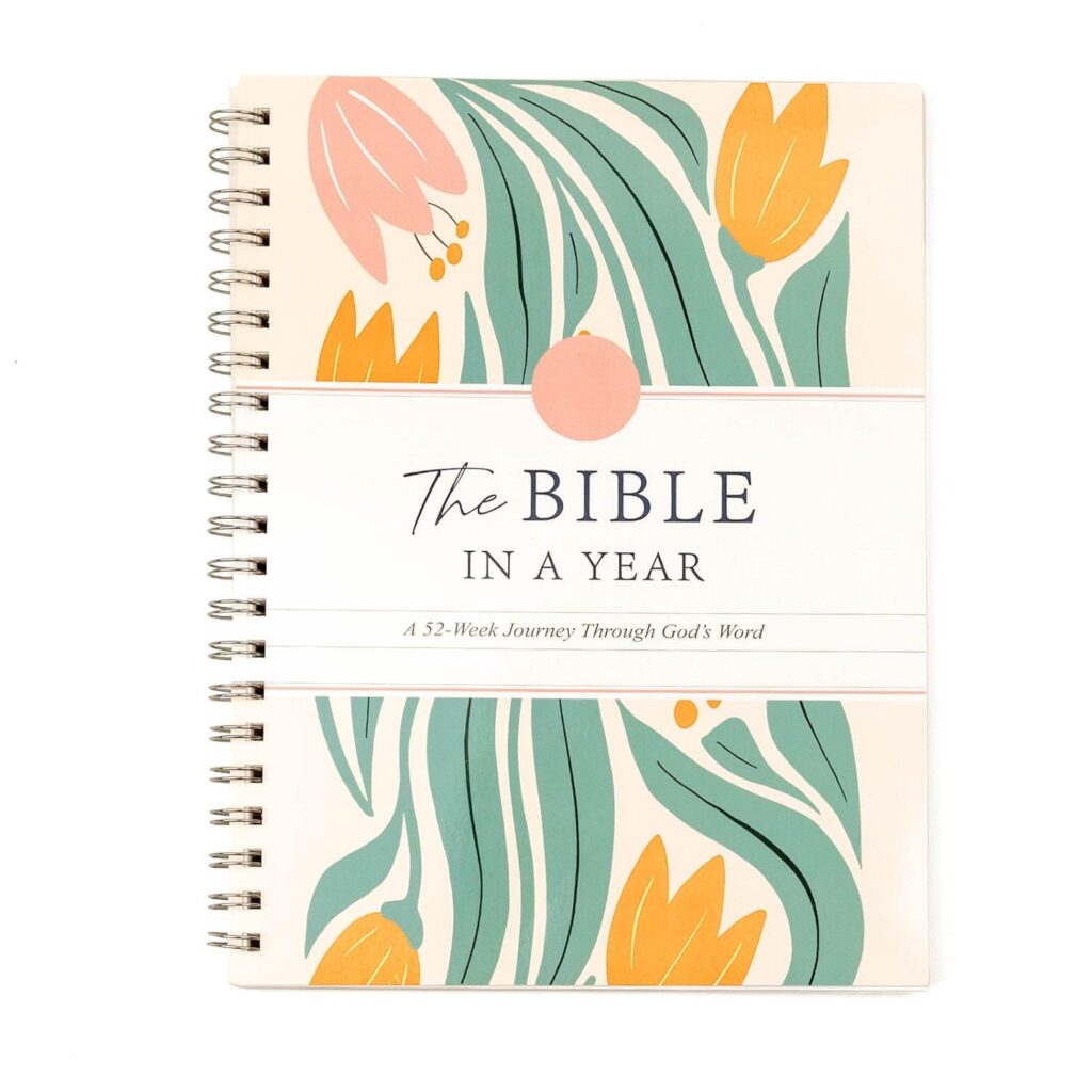 KBBYT The Bible In A Year review 1 61M9GvhummL. SL1500