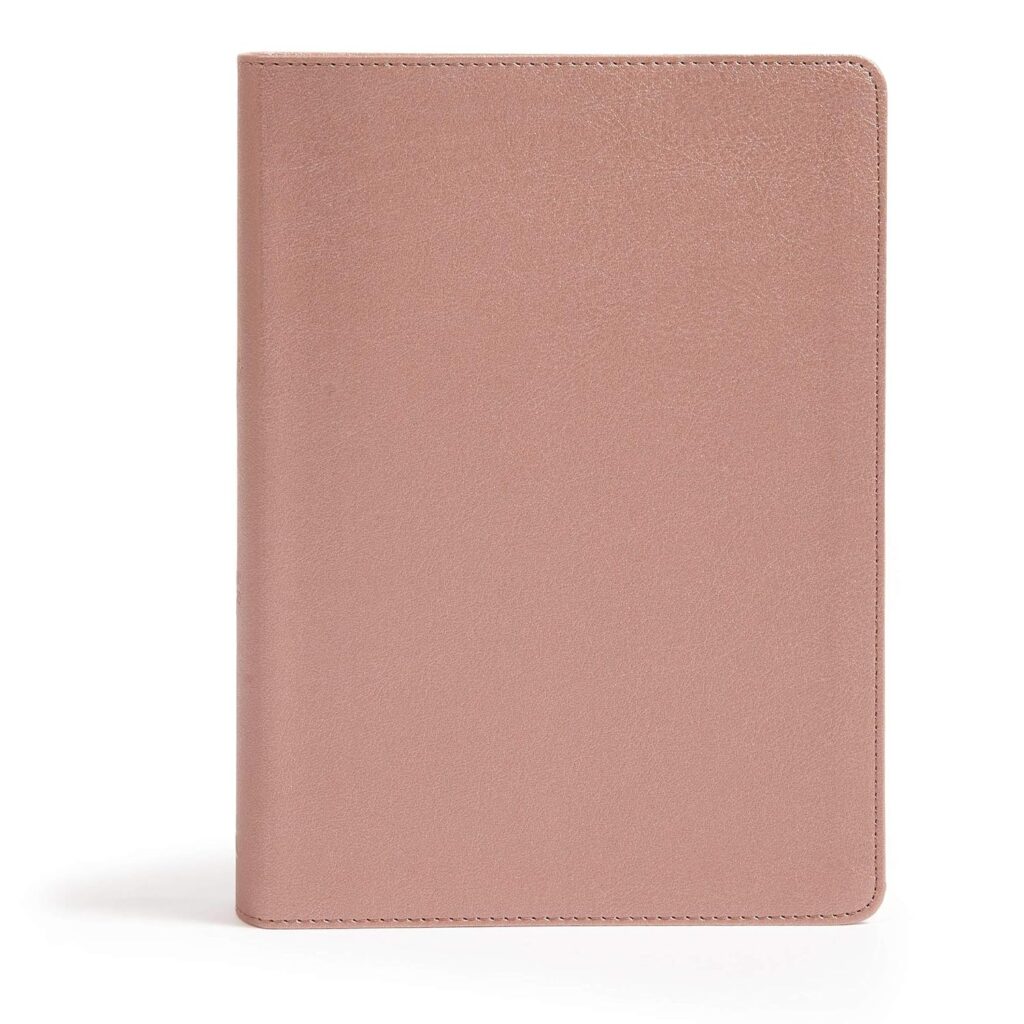 CSB She Reads Truth Bible review: Rose Gold LeatherTouch 1 81nc i5WRaL. SL1500