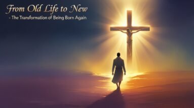 From Old Life to New – The Transformation of Being Born Again 6 Leonardo Phoenix 10 A lone figure with determined facial featu 3